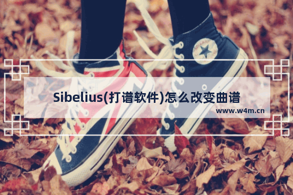 Sibelius(打谱软件)怎么改变曲谱播放的速度？