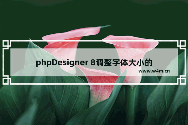 phpDesigner 8调整字体大小的方法