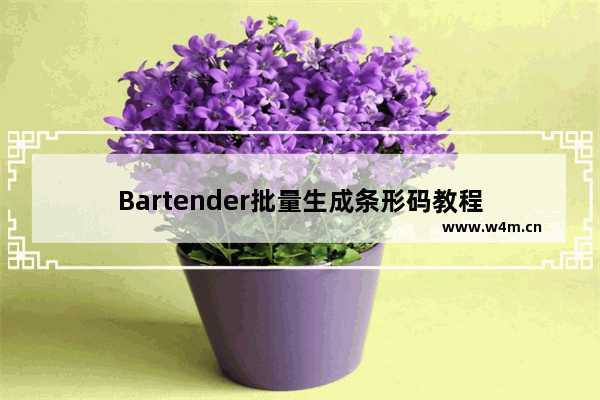 Bartender批量生成条形码教程