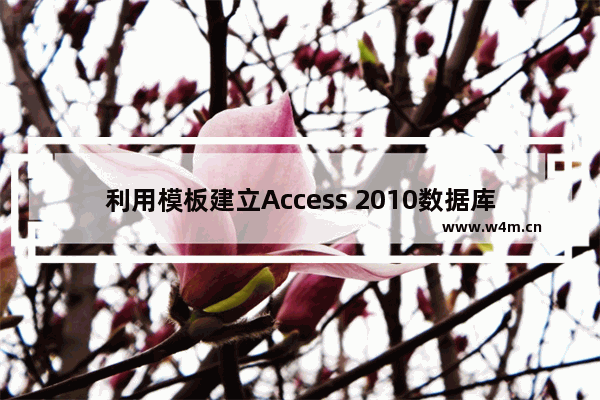 利用模板建立Access 2010数据库的方法