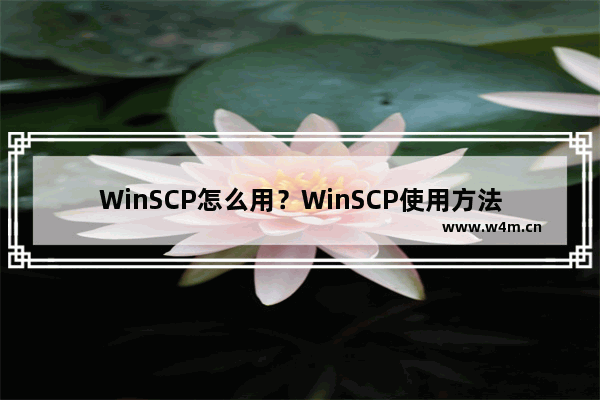 WinSCP怎么用？WinSCP使用方法