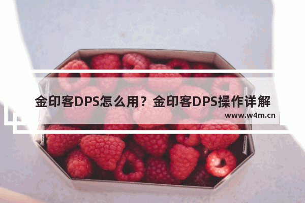 金印客DPS怎么用？金印客DPS操作详解