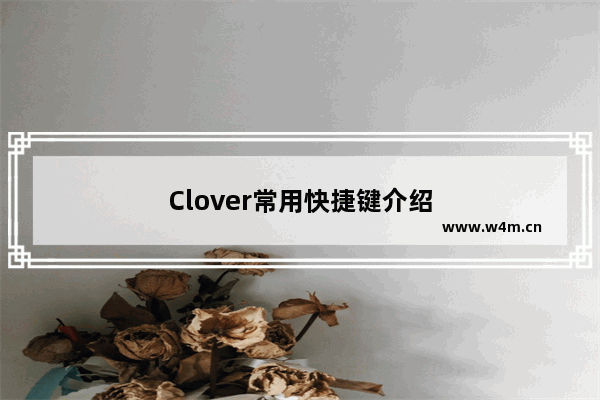 Clover常用快捷键介绍