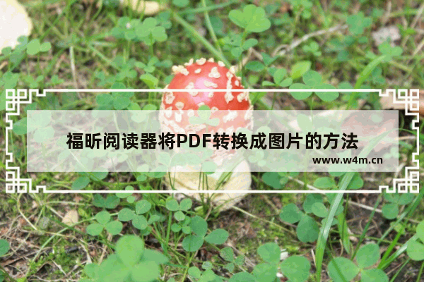 福昕阅读器将PDF转换成图片的方法