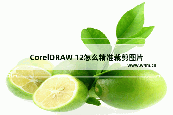 CorelDRAW 12怎么精准裁剪图片?