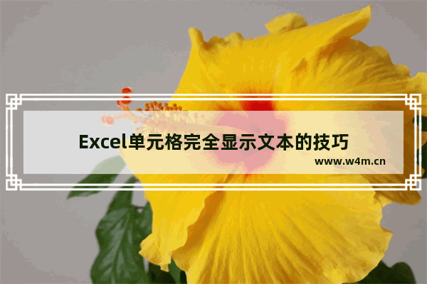 Excel单元格完全显示文本的技巧