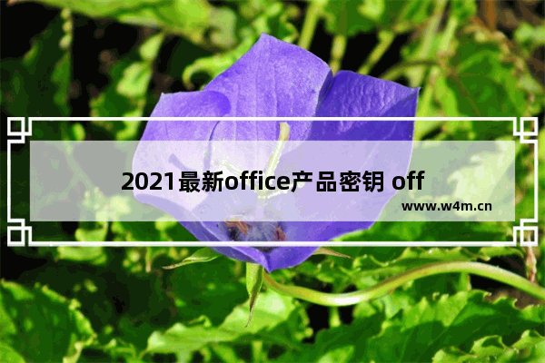 2021最新office产品密钥 office永久激活码 附激活方法