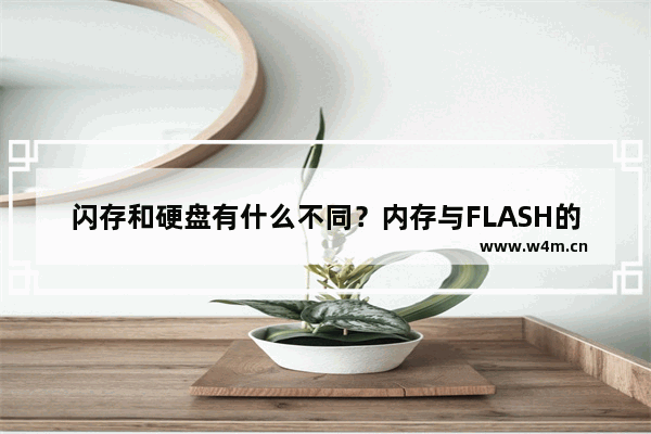 闪存和硬盘有什么不同？内存与FLASH的区别？