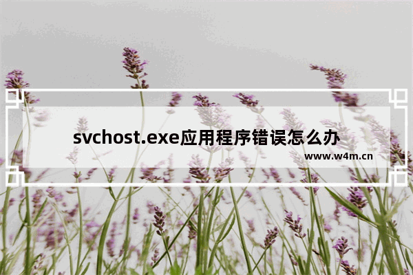 svchost.exe应用程序错误怎么办？svchost.exe应用程序错误解决方法步骤