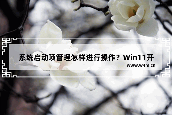 系统启动项管理怎样进行操作？Win11开机启动项怎么设置？