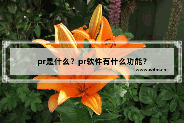 pr是什么？pr软件有什么功能？