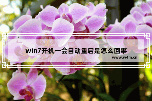 win7开机一会自动重启是怎么回事