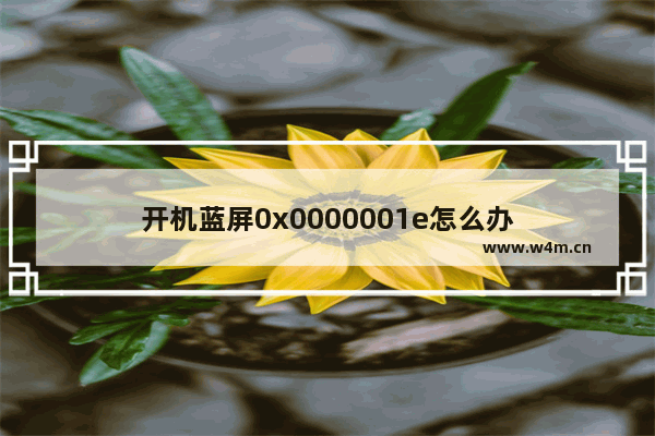 开机蓝屏0x0000001e怎么办