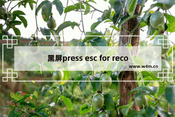 黑屏press esc for recovery menu怎么解决