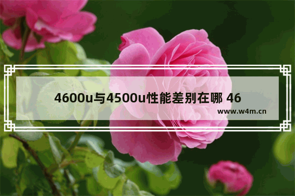 4600u与4500u性能差别在哪 4600u与4500u性能有什么差别