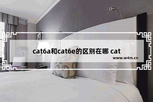 cat6a和cat6e的区别在哪 cat6a和cat6e有什么区别