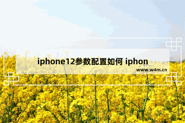 iphone12参数配置如何 iphone12参数配置怎样