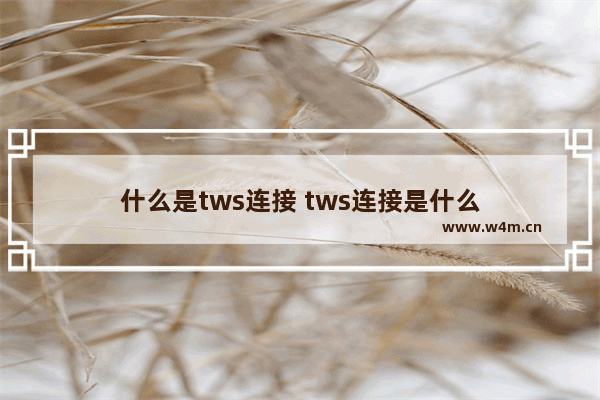 什么是tws连接 tws连接是什么