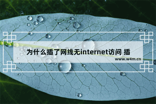 为什么插了网线无internet访问 插上网线无internet怎么解决