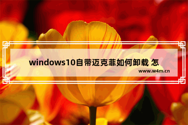 windows10自带迈克菲如何卸载 怎么卸载windows10自带迈克菲