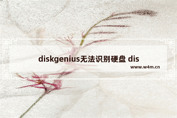 diskgenius无法识别硬盘 diskgenius怎么修复硬盘