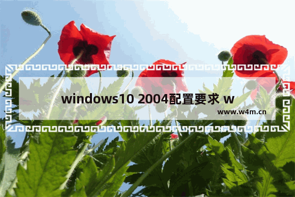 windows10 2004配置要求 windows10 2004配置要求是什么