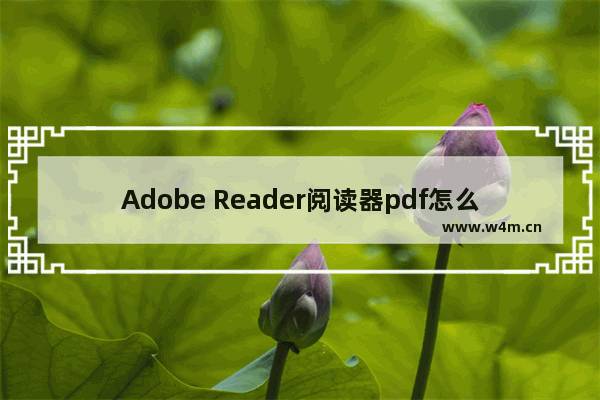 Adobe Reader阅读器pdf怎么默认打开 Adobe Reader阅读器设置pdf默认打开方法