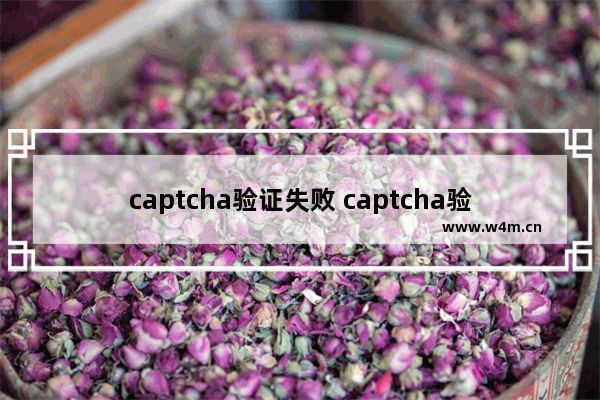 captcha验证失败 captcha验证失败怎么解决