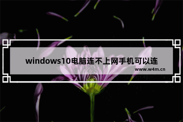 windows10电脑连不上网手机可以连上wifi怎么办 windows10电脑连不上网手机可以连上wifi怎么办