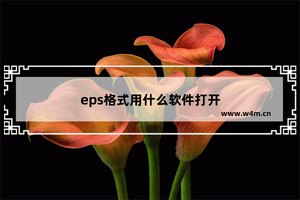 eps格式用什么软件打开