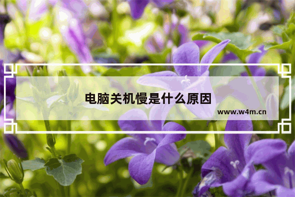 电脑关机慢是什么原因