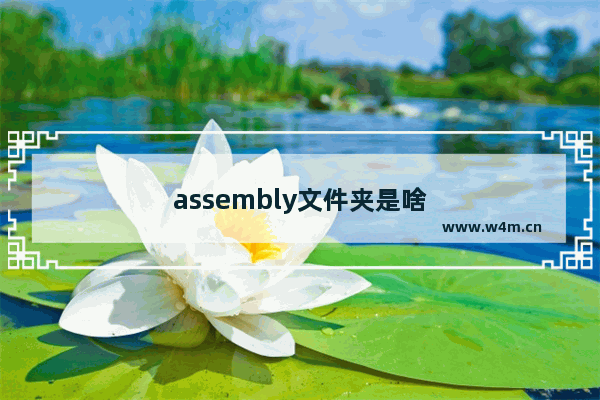 assembly文件夹是啥