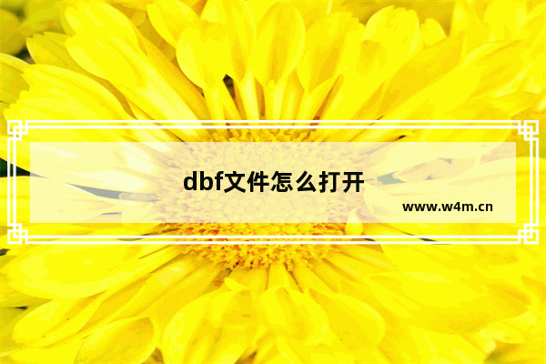 dbf文件怎么打开