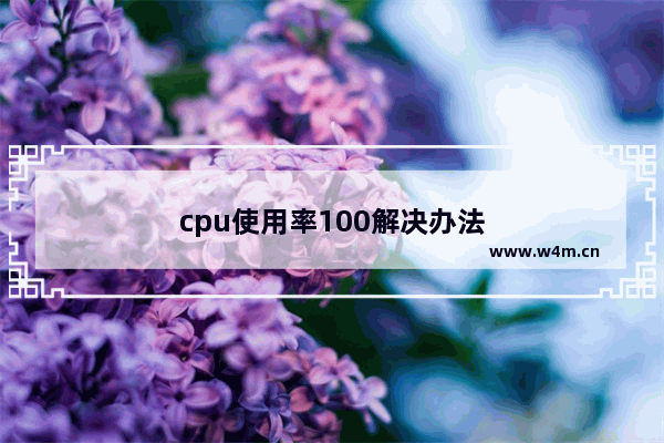 cpu使用率100解决办法