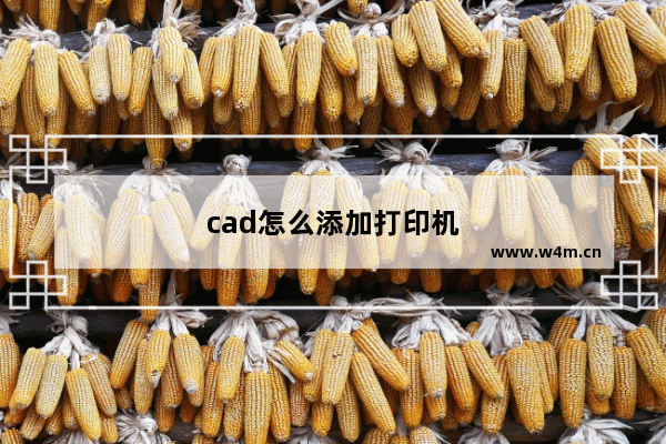 cad怎么添加打印机