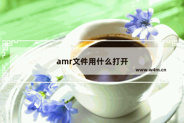 amr文件用什么打开