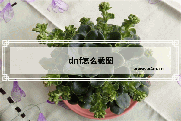 dnf怎么截图