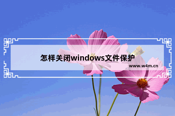 怎样关闭windows文件保护