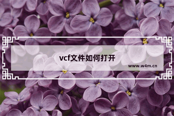 vcf文件如何打开