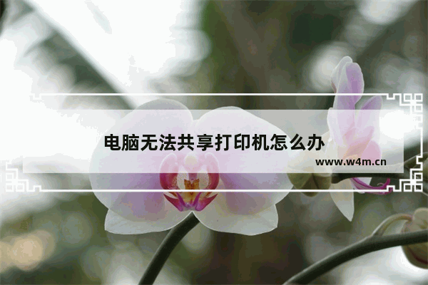 电脑无法共享打印机怎么办