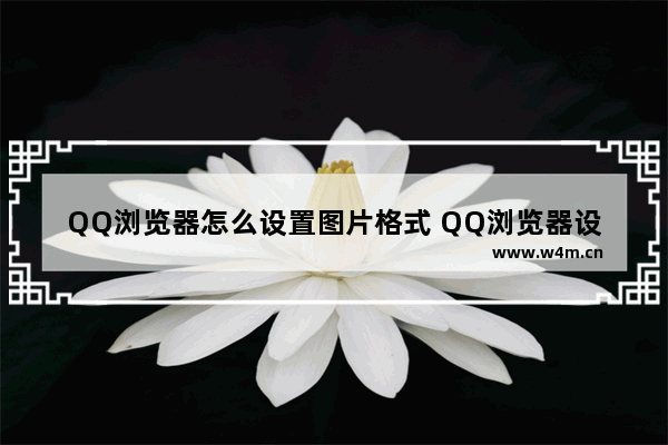 QQ浏览器怎么设置图片格式 QQ浏览器设置图片格式方法