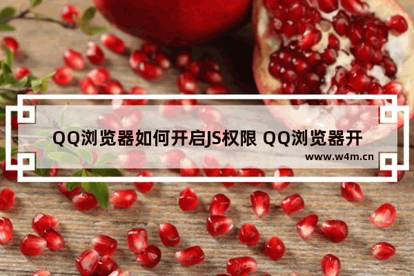 QQ浏览器如何开启JS权限 QQ浏览器开启JS权限方法