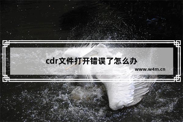 cdr文件打开错误了怎么办