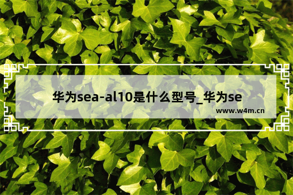 华为sea-al10是什么型号_华为sea-al10是什么手机