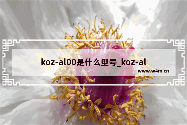 koz-al00是什么型号_koz-al00是什么手机