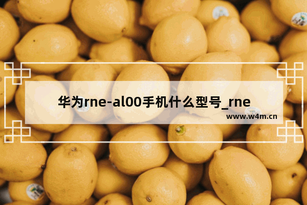 华为rne-al00手机什么型号_rneal00是华为什么型号