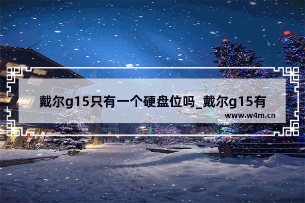 戴尔g15只有一个硬盘位吗_戴尔g15有预留硬盘位置吗