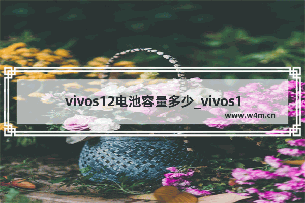 vivos12电池容量多少_vivos12多大电池容量