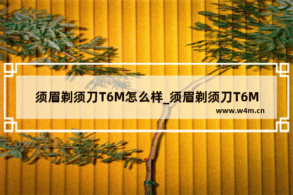 须眉剃须刀T6M怎么样_须眉剃须刀T6M评测