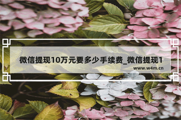 微信提现10万元要多少手续费_微信提现10万元手续费是多少